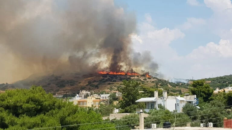 Προσαγωγή ηλικιωμένου για τη φωτιά στο Λαγονήσι: «Εγώ έβαλα τη φωτιά κατά λάθος» (βίντεο)